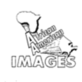 African American Images, in Chicago Heights, IL Education