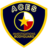 ACES Private Investigations Security Training in San Antonio, TX