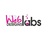 Web Designs Labs USA in Los Angeles, CA