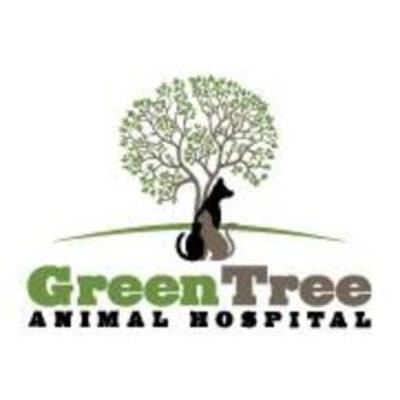 Green Tree Animal Hospital in Lexington, KY 40513 Veterinarians