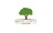 Brian Lofty Lawn Care in Rocky face, GA