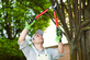 Top Tree Service Seattle in Capitol Hill - Seattle, WA Tree Services