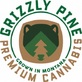 Grizzly Pine in Bozeman, MT Alternative Medicine