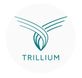 Trillium Apartments in Fairfax, VA Apartments & Buildings
