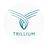 Trillium Apartments in Fairfax, VA 22031 Apartments & Buildings