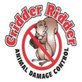 Cridder Ridder in Kansas City, MO Pest Control Services