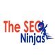 The Seo Ninjas in Oklahoma City, OK Marketing Services