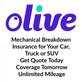 Olive in Walnut Creek, CA Auto Insurance