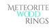 Meteorite Wood Rings in Near North Side - Chicago, IL Jewelry & Jewelers Equipment & Supplies