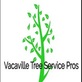 Vacaville Tree Service Pros in Vacaville, CA Tree Services