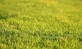Affordable Lawn Care Solutions in Angleton, TX Garden & Lawn Equipment & Supplies Rental & Leasing