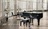Piano Movers Seattle in University District - Seattle, WA