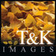 T&K Images - Fine Art Photography in Surprise, AZ Art Photography