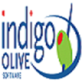 Indigo Olive Software in Wynnewood, PA Sales Management Services