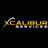 Xcalibur Home Services in Irondale, AL