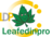 Leafedin Pro in Near West Side - Chicago, IL