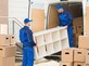 Flat Rate Moving Truck Trinity FL | Independent Moving and Storage in Trinity, FL Moving Companies