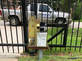 CT Gate Repair Service Missouri City in Missouri City, TX Gate & Fence Repair