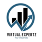 Virtual Expertz in Berrien Springs, MI Internet Services Software & Design