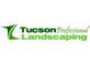 Tucson Professional Landscaping in Tucson, AZ Landscaping
