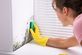 Mold Cleanup And Remediation in Fort Lauderdale, FL Home Improvements, Repair & Maintenance