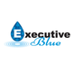 Executive Blue Pools in Frisco, TX Swimming Pool Remodeling & Renovation