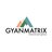 GyanMatrix in New York, NY 56003 Information Technology Services