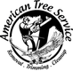 The Tree Removal in New York, NY Exporters Tree Service Equipment & Supplies