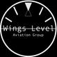 Wings Level Aviation Group, in Norwood, MA Flight Instruction Schools