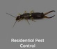 Bullseye Pest Control in New Plymouth, ID Pest Control Services