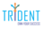 Trident Advisory and Consulting in San Ramon, CA