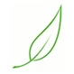 New Leaf Arboriculture in Crestview, FL Tree Services