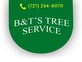 B&T'S Tree Service in Spring Lakes Of Clearwater - Clearwater, FL Deciduous Tree Fruits