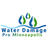 Water Damage Pro Minneapolis in Ventura Village - Minneapolis, MN