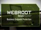webroot.com/safe - How it Helps in Activation of Webroot Antivirus in Mountain View - Anchorage, AK Computer Software