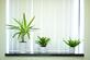 Blinds & Shades - Manufacturer in Folsom, CA 95630