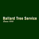 Ballard Tree Service in Azle, TX Tree Service