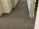 Carpet Cleaning & Dying in Union City, CA 94587