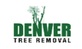 Denver Tree Removal in Denver, CO Tree Services