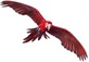 Bird and Parrot Store in Orlando, FL Animal & Pet Food & Supplies Manufacturers