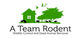 A Team Rodent Control in Huntington Beach, CA Bee Control & Removal Services