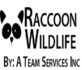 A Team Raccoon Removal Services in Santa Ana, CA Wildlife Services