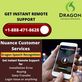 Dragon Support in terrell, TX Computer Software