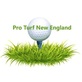 Pro Turf of New England in Fitchburg, MA Artificial Grass & Turf