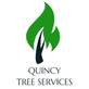 Quincy Tree Services in Quincy, MA Tree Consultants