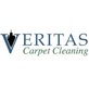 Veritas Carpet Cleaning in East Park - Orlando, FL Carpet Cleaning & Repairing