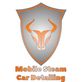 Fairfax Mobile Steam Car Detailing in Fairfax, VA Auto Cleaning & Detailing
