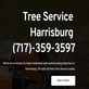Tree Service Harrisburg in Harrisburg, PA Lawn & Tree Service