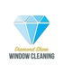 Diamond Shine Window Cleaning in Hazel Park, MI Window Cleaning