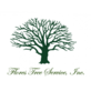 Flores Tree Service in Snellville, GA Tree Service